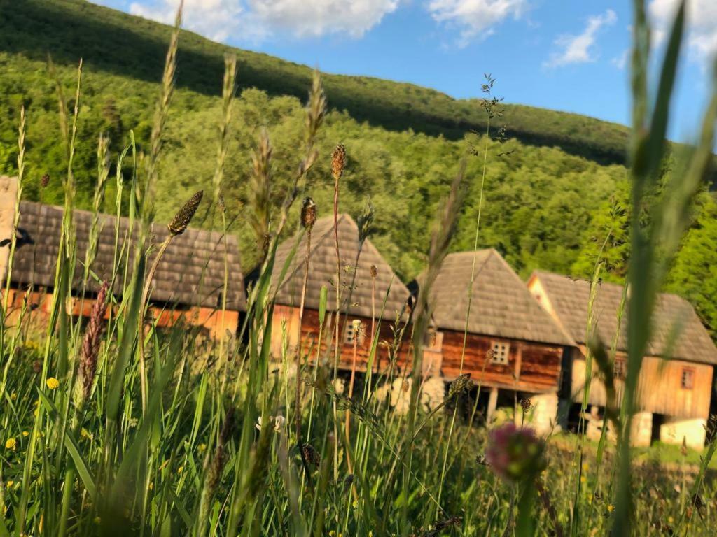 Apartman Danijela Otočac Buitenkant foto