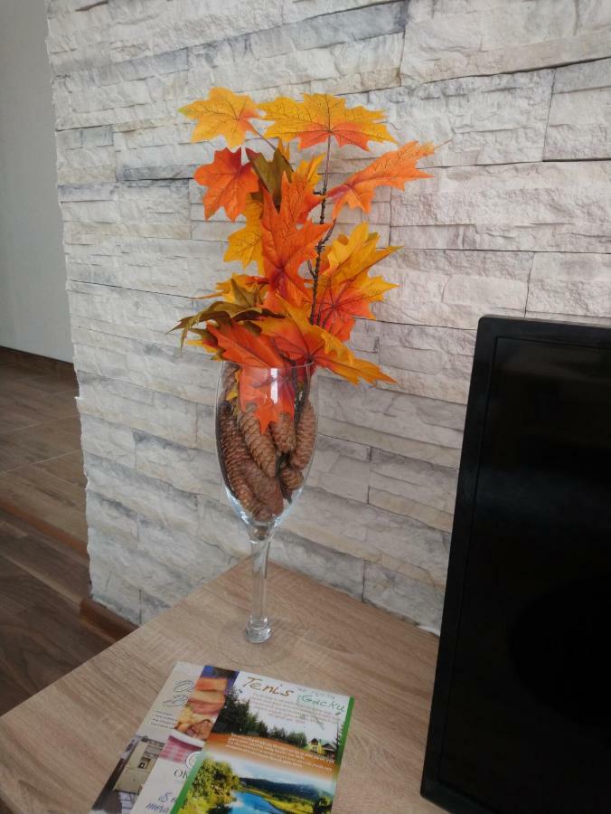Apartman Danijela Otočac Buitenkant foto